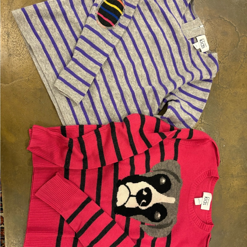 Autumn Cashmere Gray and Purple Striped Sweater